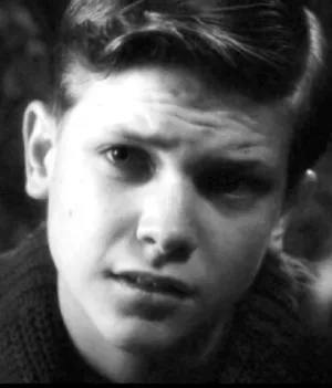 Перри Воллстон