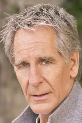 Скотт Бакула